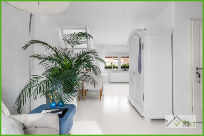 5Plus Immobilien Zweifamilienhaus zum Kauf Eschweiler / Hücheln OG
