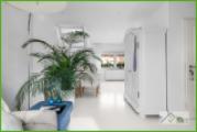 5Plus Immobilien Zweifamilienhaus zum Kauf Eschweiler / Hücheln OG