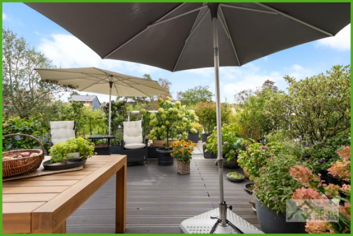 5Plus Immobilien Zweifamilienhaus zum Kauf Eschweiler / Hücheln Terrasse