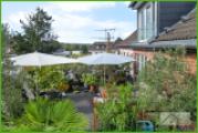 5Plus Immobilien Zweifamilienhaus zum Kauf Eschweiler / Hücheln Terrasse
