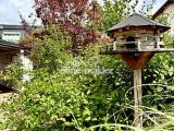 Terrasse mit Blick z. Carport