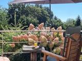 Südterrasse