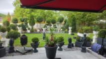 Terrasse u. Garten