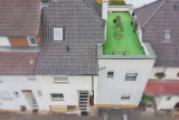 Haus1