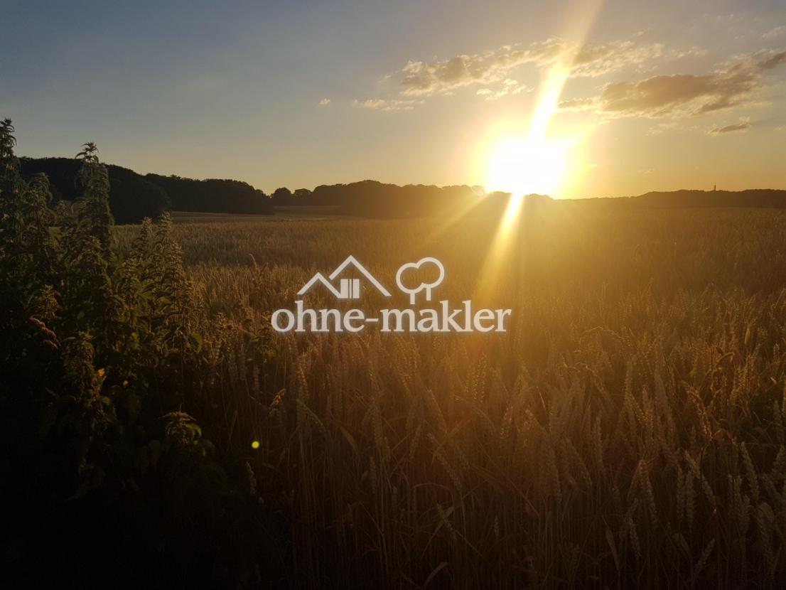 Direkte Umgebung