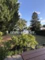 Blick in den Garten