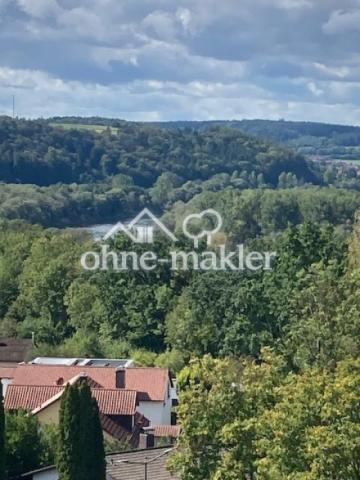 Donaublick 