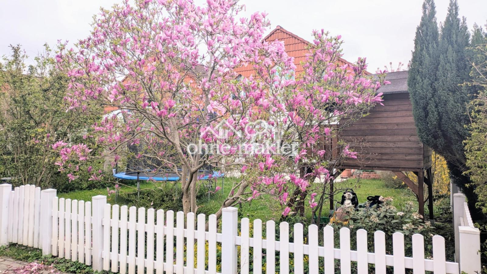 Garten vom Weg aus