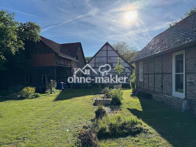 Blick vom hinteren Garten in H