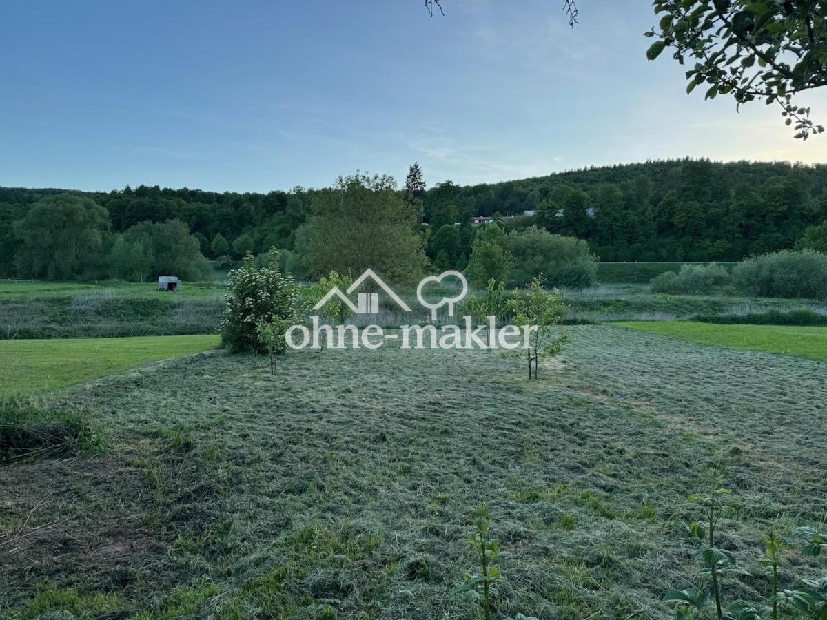 Wiese vor dem Grundstück