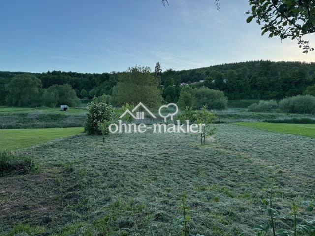Wiese vor dem Grundstück