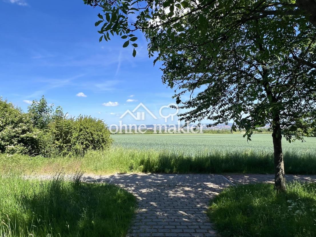 Panoramablick auf Dresden