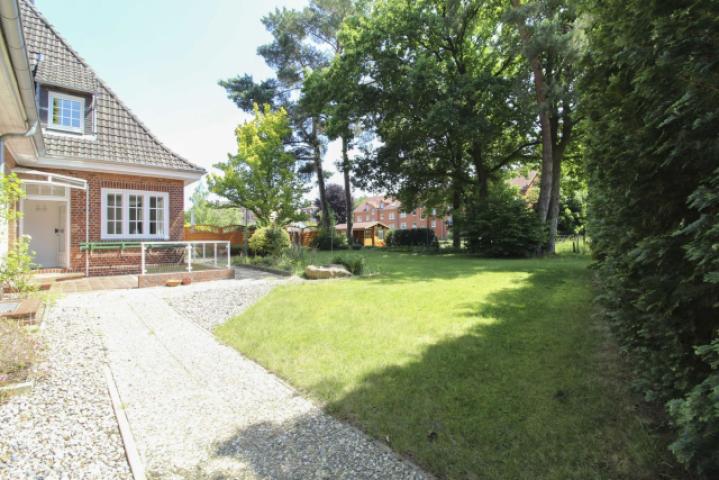 Blick in den Garten