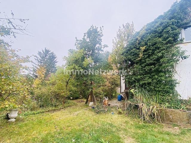 Garten 1