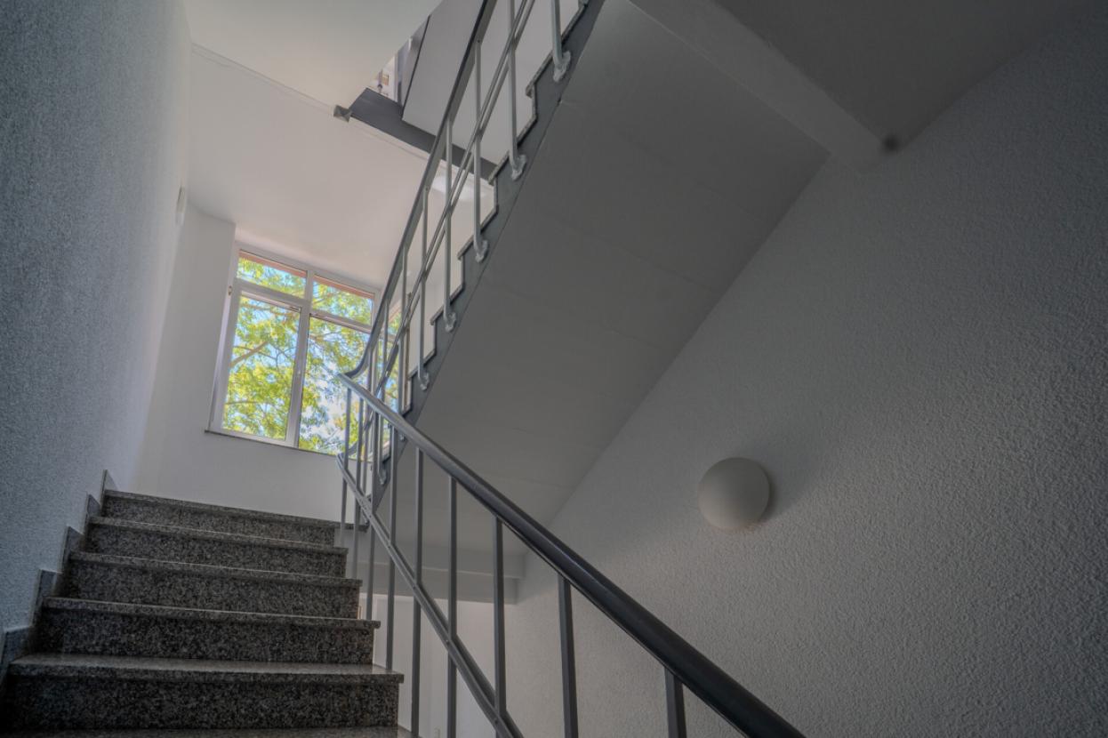 Trepenhaus