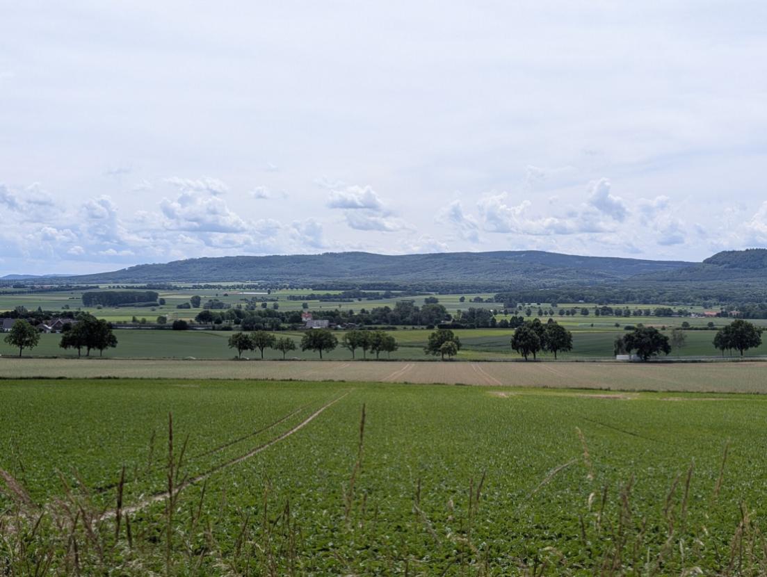 Aussicht