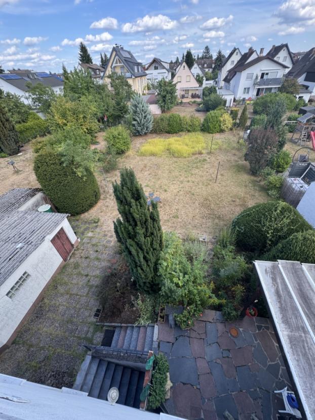 Blick in den großen Garten