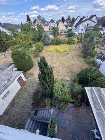 Blick in den großen Garten