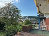 Blick in den Garten