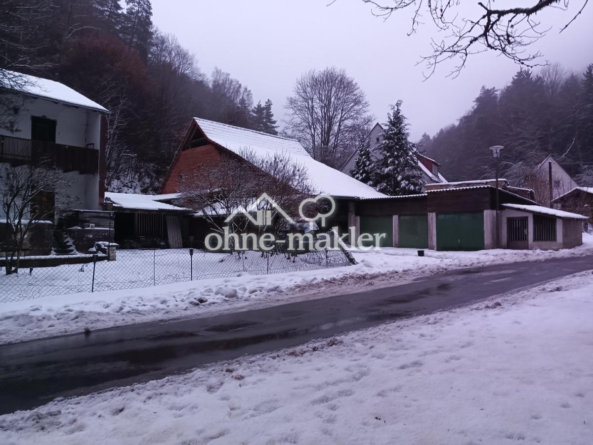 Winterbild2