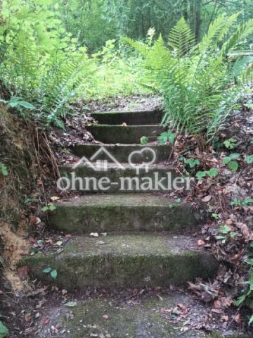 Wald1