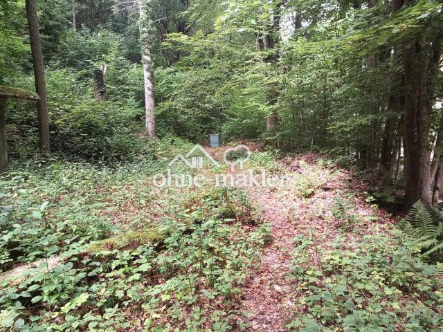 Wald2