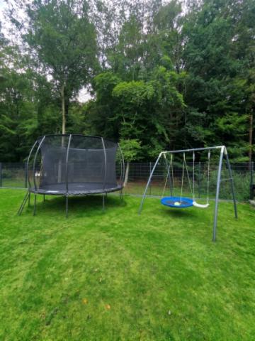 Wald hinterm Haus