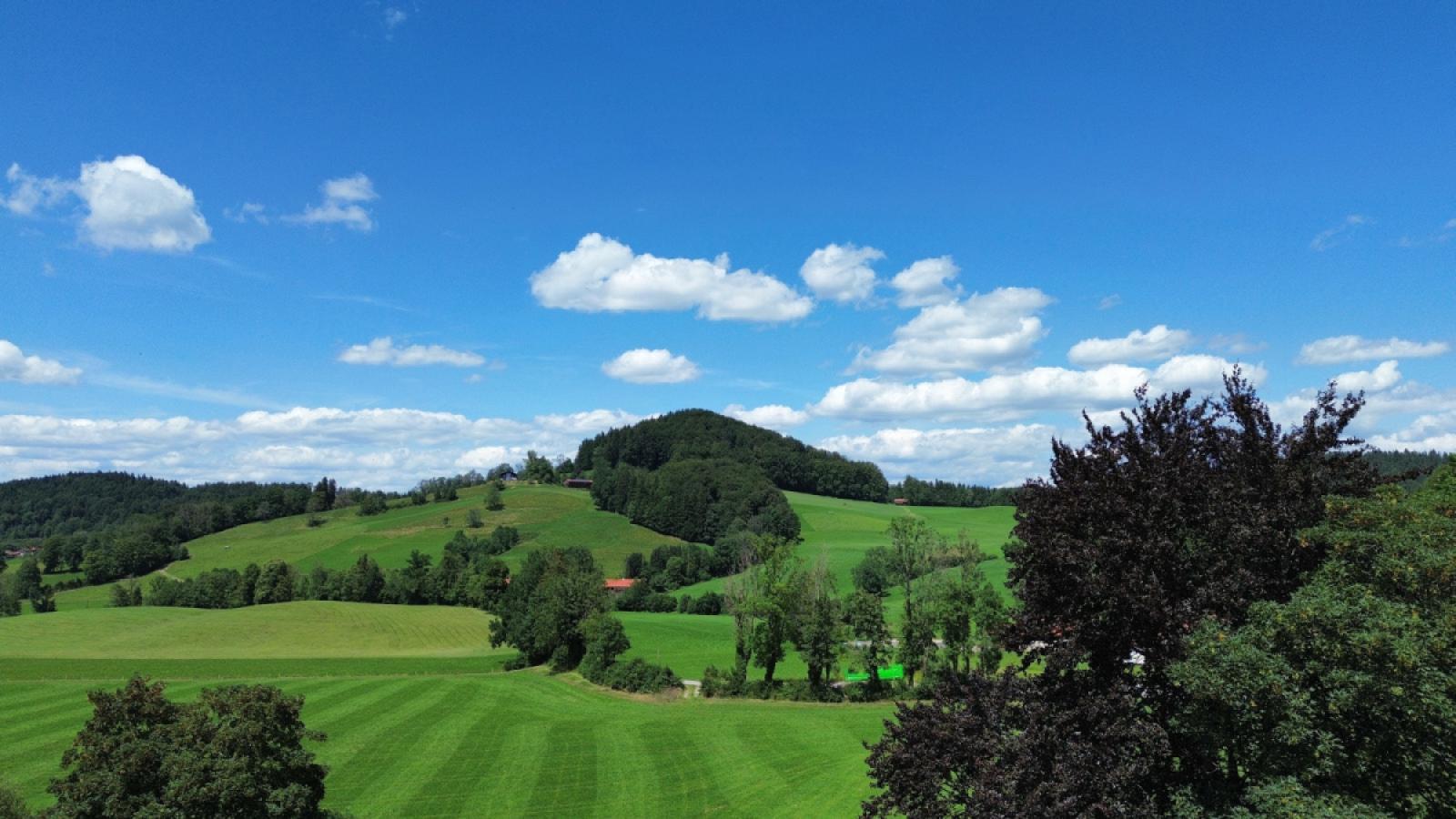 Blick vom Balkon