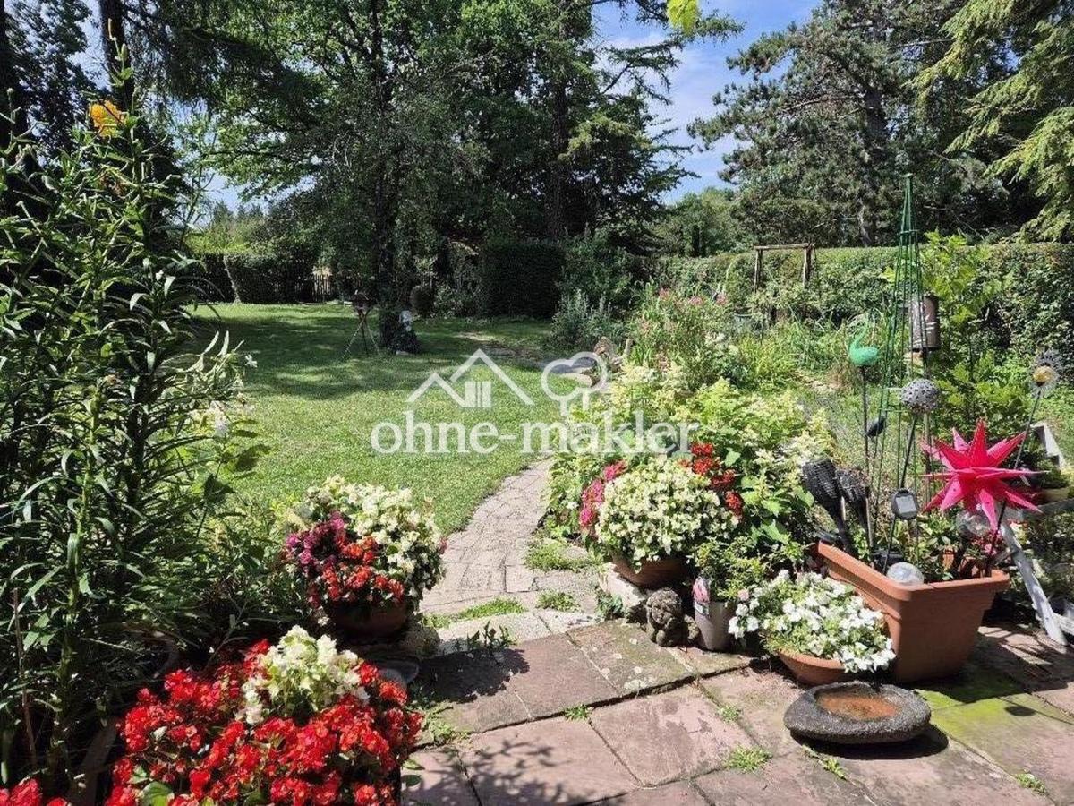 Blick in den Garten