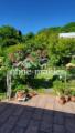 Garten 2