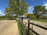 Paddocks für Pferde