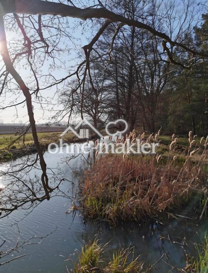 Wald und Bachnähe