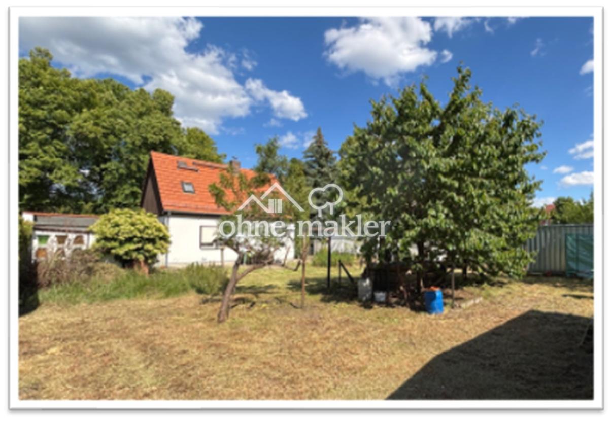 Blick aus hinterem Garten