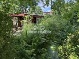 Gartenteich und Laube