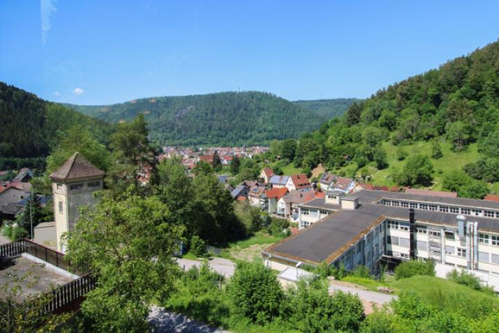 Ausblick