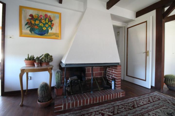 Kamin Haus 15