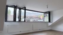 Gaube mit Faltfenster