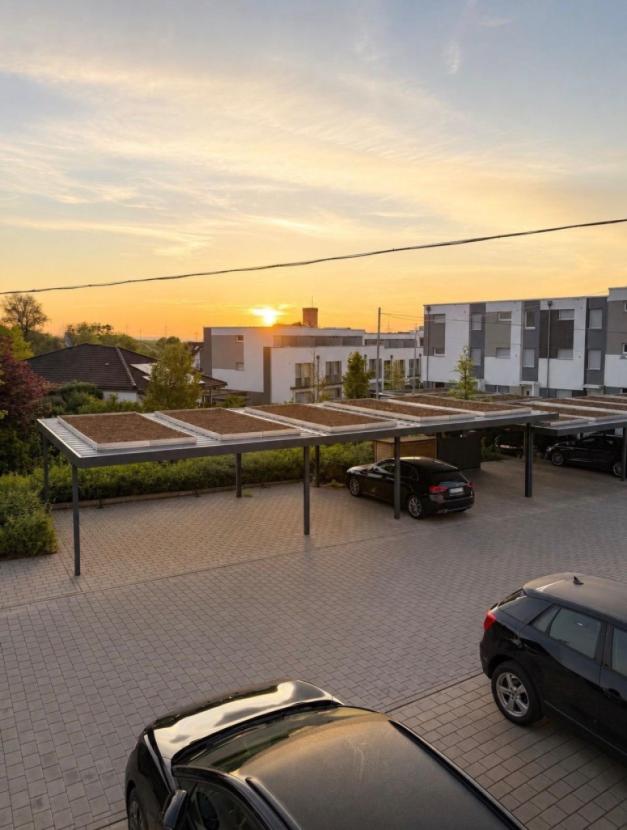 Carport Stellplatz