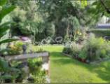 Eigener Garten im Sommer 
