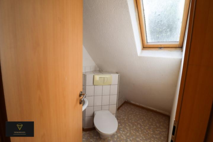 WC DG