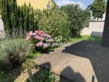 Terrasse mit Garten 