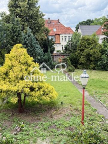 Blick in den Garten