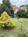 Blick in den Garten