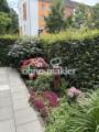 Blumenbeet