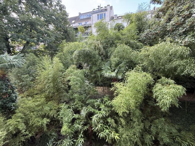 Gemeinschaftsgarten