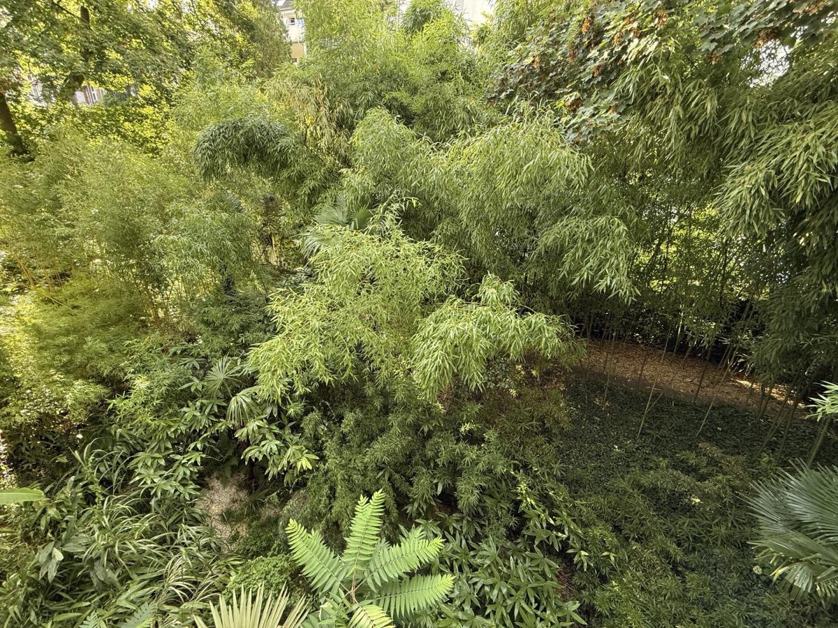 Gemeinschaftsgarten