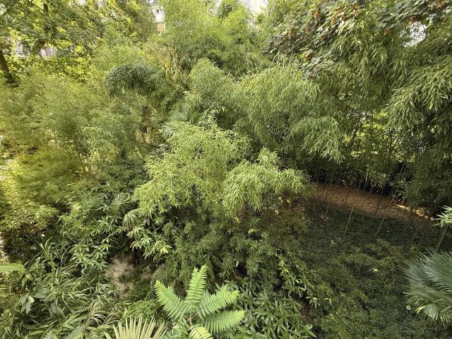 Gemeinschaftsgarten