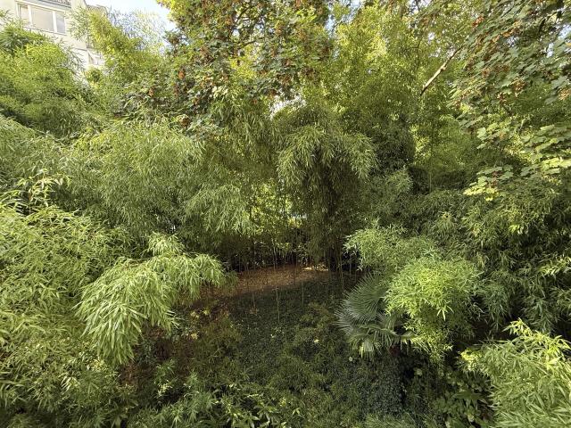 Gemeinschaftsgarten