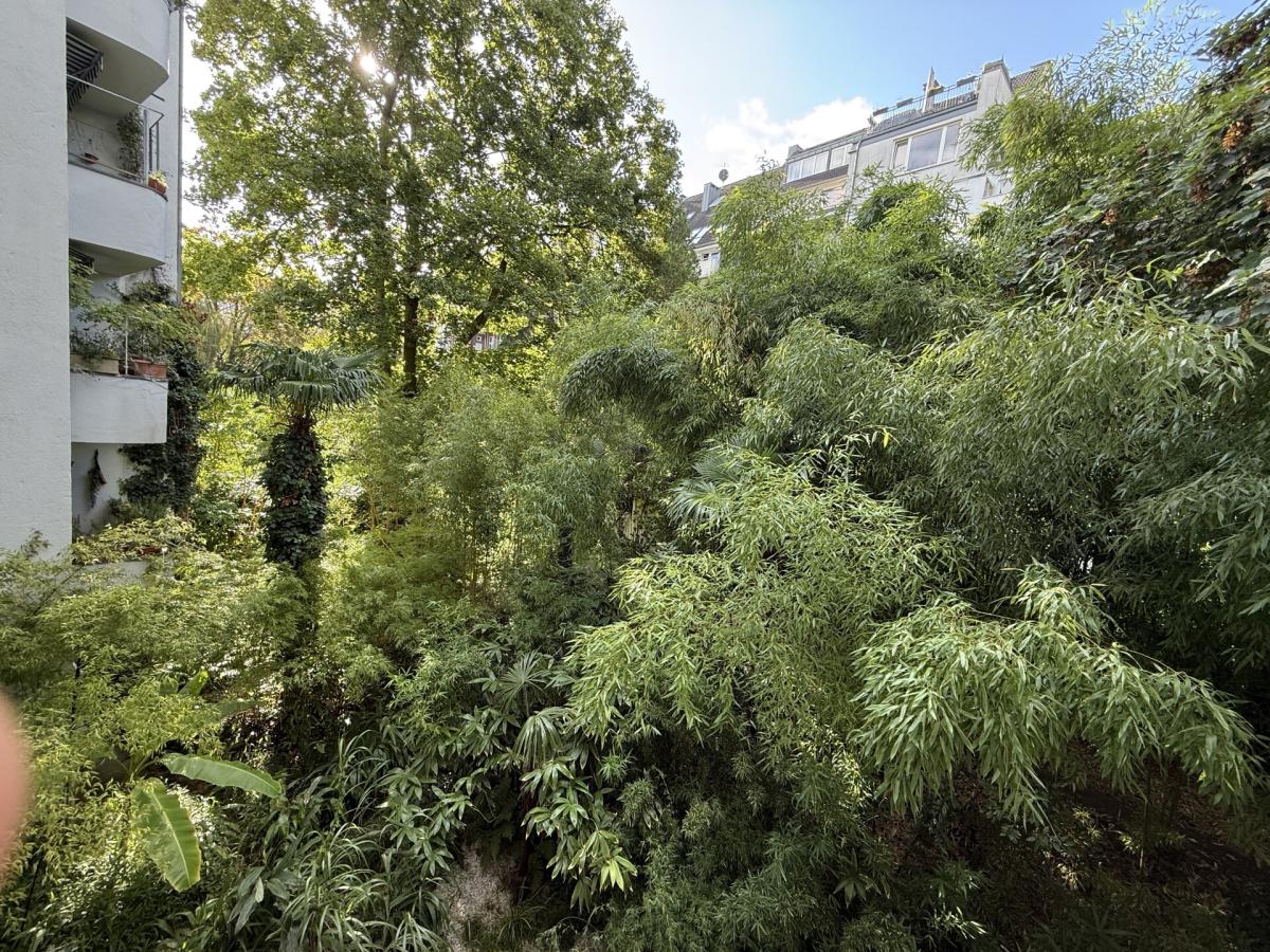 Gemeinschaftsgarten