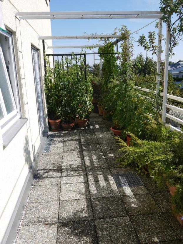 Terrasse bepflanzt